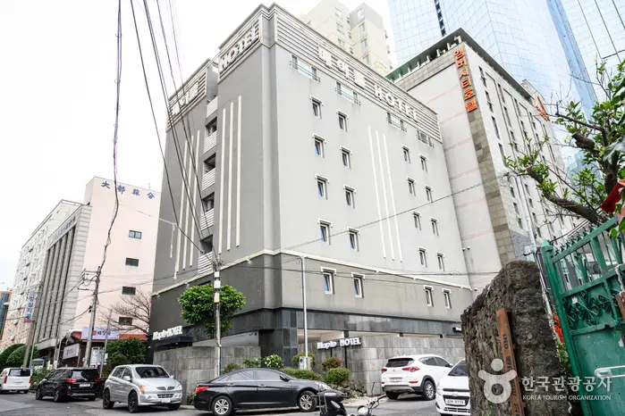 제주 메이플호텔 · 숙박