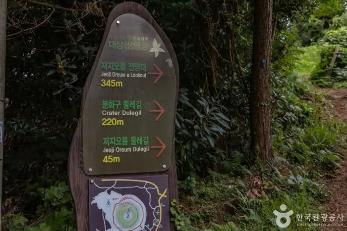 저지오름(닥몰오름,새오름) · 관광지