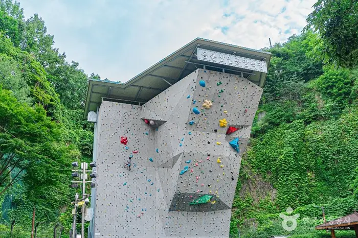 응봉산 암벽등반공원 · 레포츠