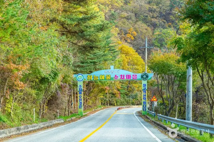 소치길 · 레포츠
