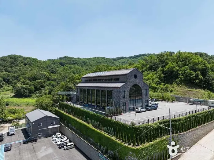 트리브링 · 음식점