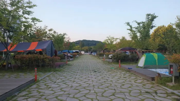 시민의 숲 야영장 · 레포츠