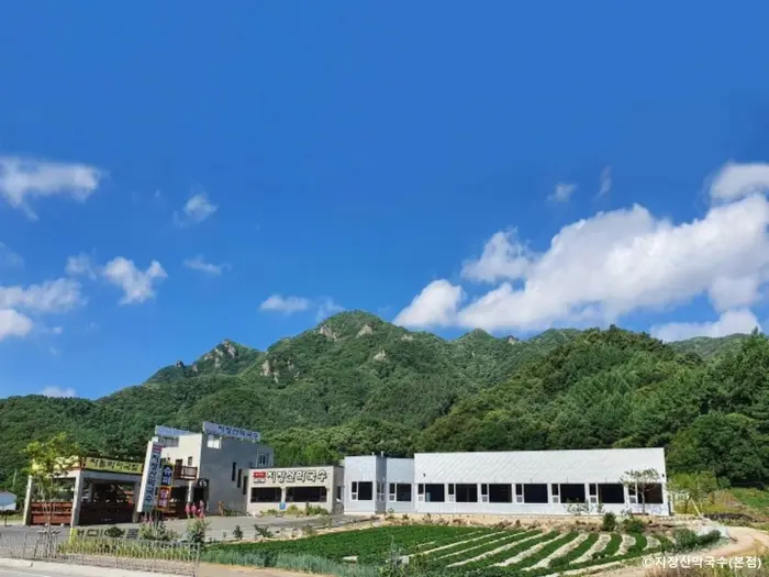 지장산막국수 본점 · 음식점