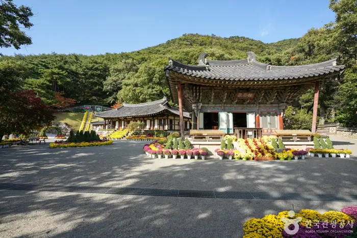 도리사(구미) · 관광지