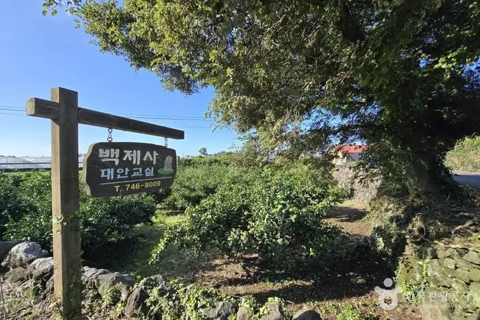 백제사 · 관광지
