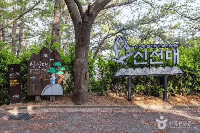 신선대(부산) · 관광지