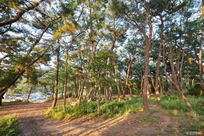호룡곡산 · 관광지