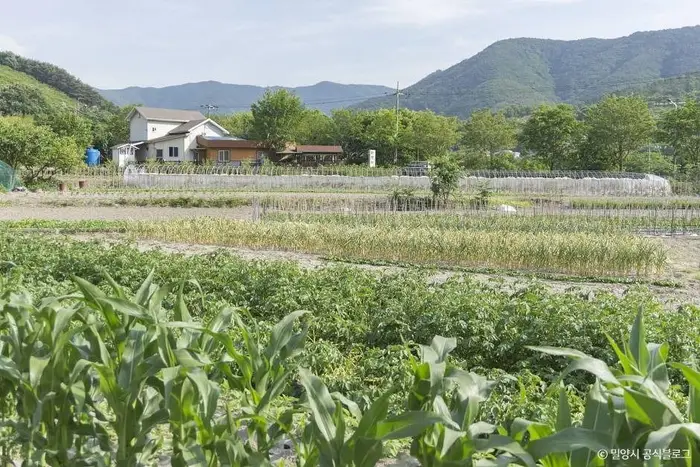 평리산대추마을 · 관광지
