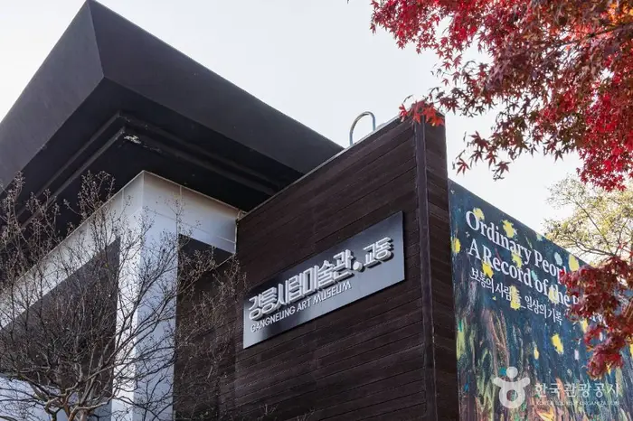 강릉시립미술관 교동 · 문화시설