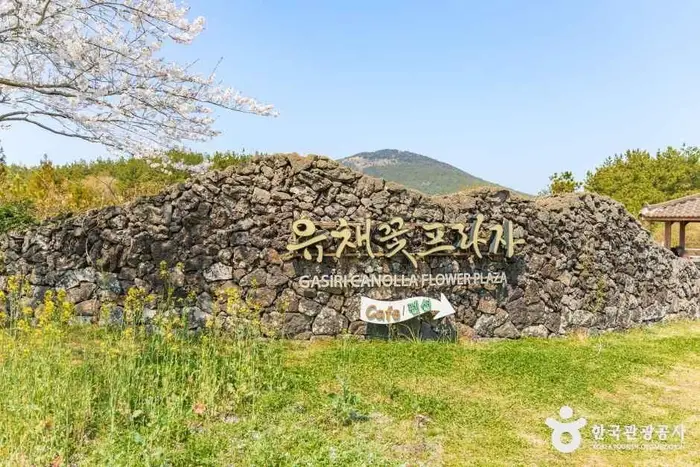 유채꽃프라자 · 관광지