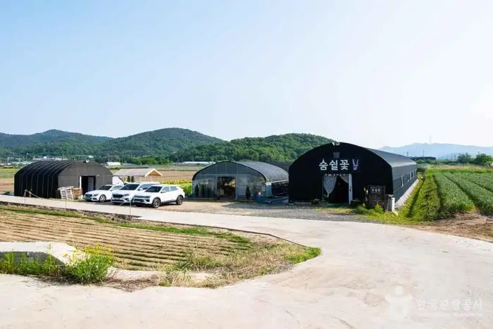 숨쉴꽃 허브 체험농장 · 관광지