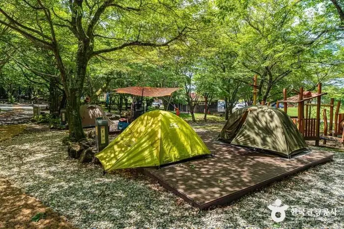 관음사야영장 · 레포츠