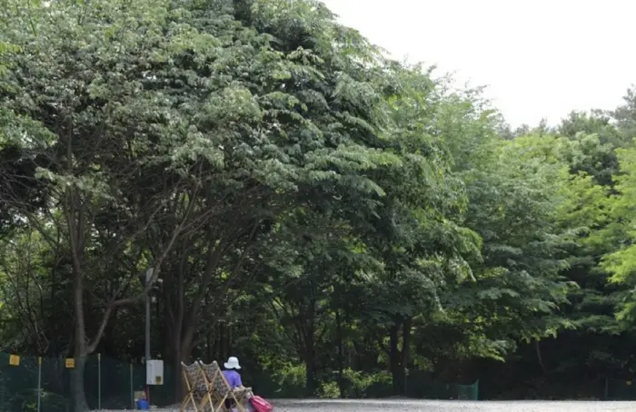 영덕칠보산오토캠핑장 · 레포츠