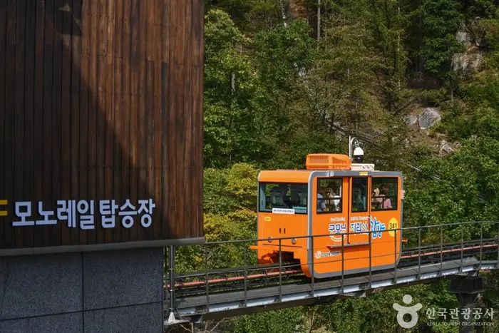 대봉스카이랜드 모노레일 앤 짚라인 · 레포츠