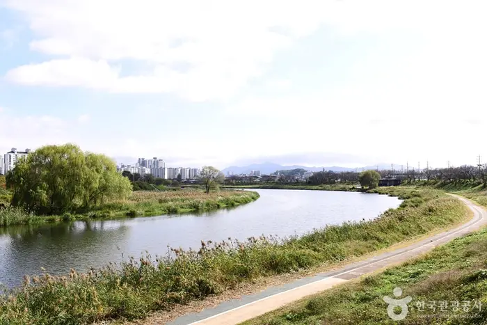 팔복동 천변 · 관광지