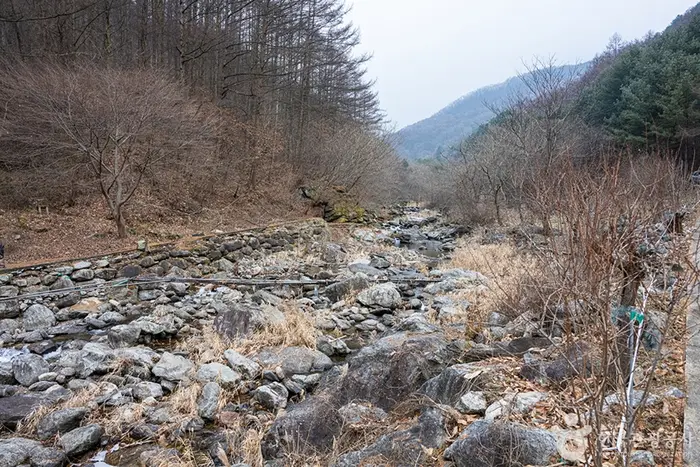 명지산 트레킹 · 레포츠