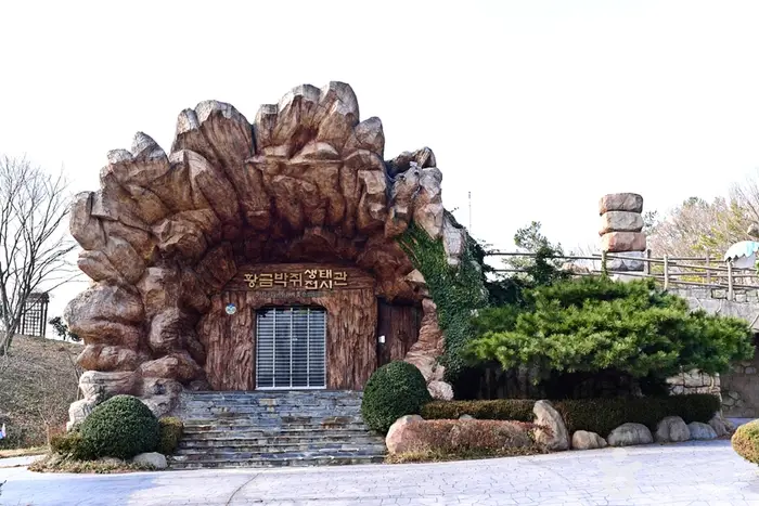황금박쥐특별전시관 · 문화시설
