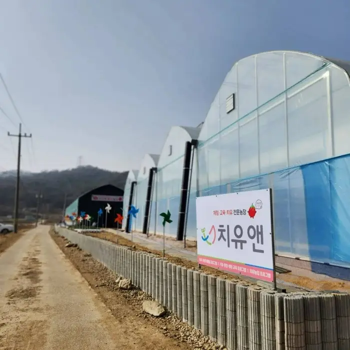 치유앤 딸기 체험 농장 · 관광지