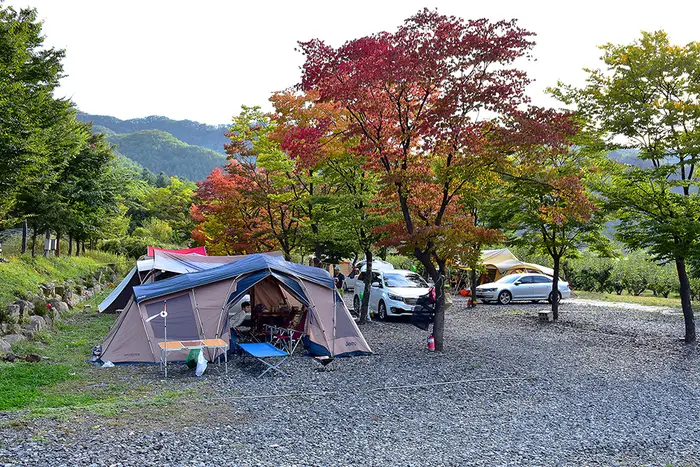 대회산캠핑장 · 레포츠