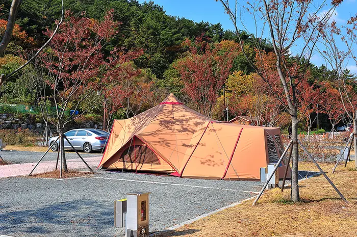 태화연오토캠핑장 · 레포츠