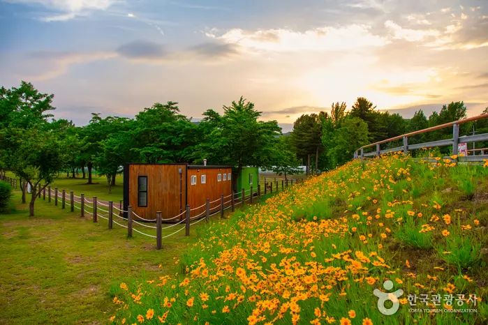하중도수변생태공원 · 관광지