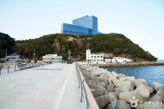 금진방파제 · 레포츠