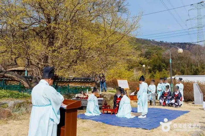 구례 산수유마을 · 관광지