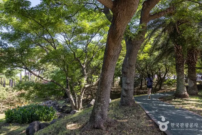 신산공원 · 관광지