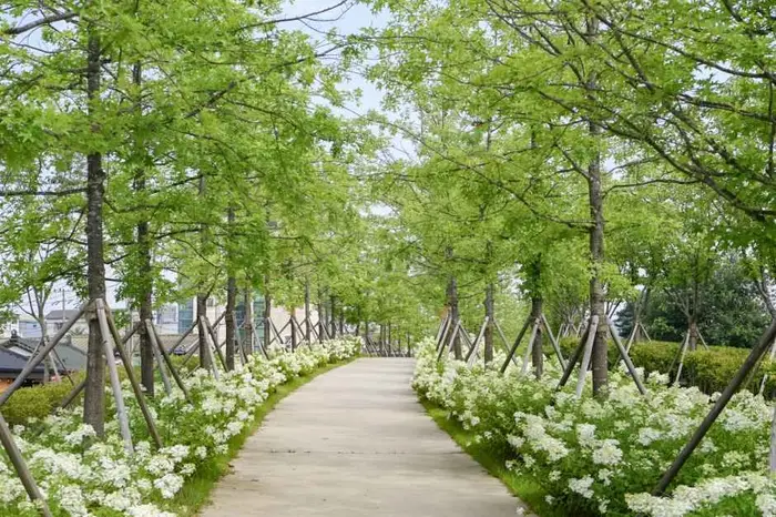 치악산 바람길숲 · 관광지