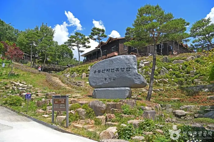 용봉산자연휴양림 · 관광지