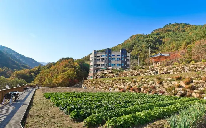보이저펜션 · 숙박