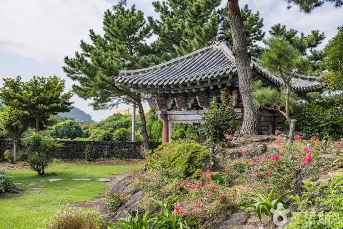 금룡사(제주) · 관광지