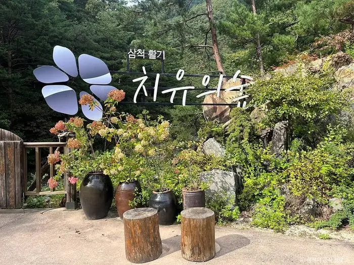 삼척 활기 치유의 숲 · 관광지