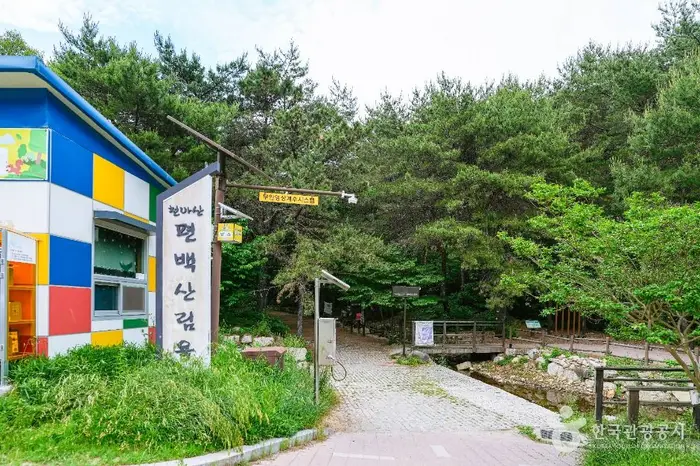 북구 편백산림욕장 · 관광지