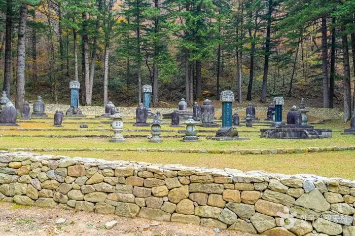 월정사부도군 · 관광지