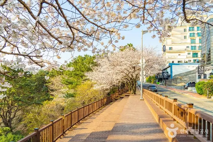문탠로드 · 레포츠