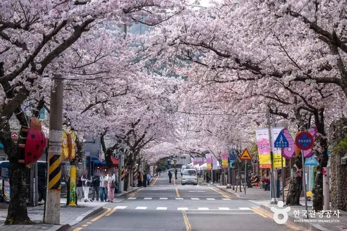 봉숫골 벚꽃길 · 관광지