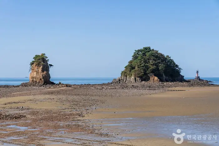 꽃지해안공원 · 관광지