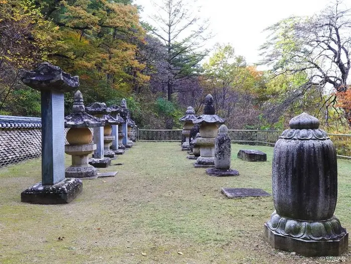 명주사부도군 · 관광지