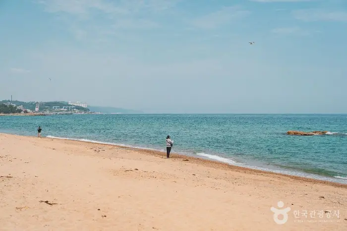 남호해수욕장 · 관광지