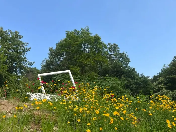 춘천숲자연휴양림 · 레포츠