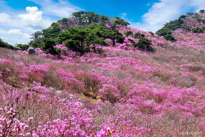 비슬산군립공원 · 관광지