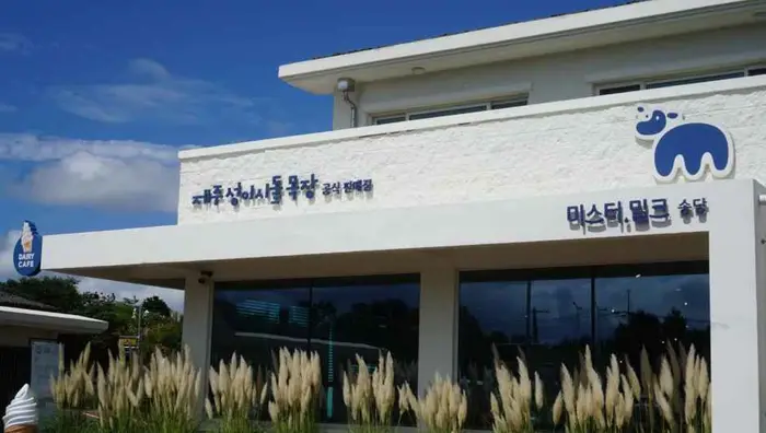 미스터밀크 송당점 · 음식점