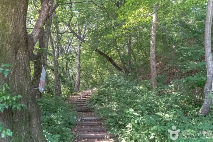 광교산체육공원 · 관광지