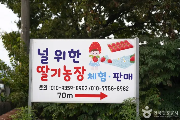 널위한딸기농장 · 관광지
