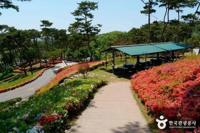 홍성솔바람테마파크 · 관광지