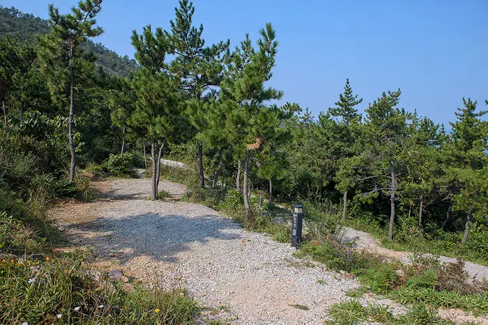 몽돌바다캠핑장 · 레포츠