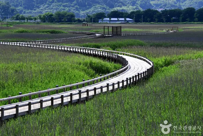 벌교생태공원 · 관광지