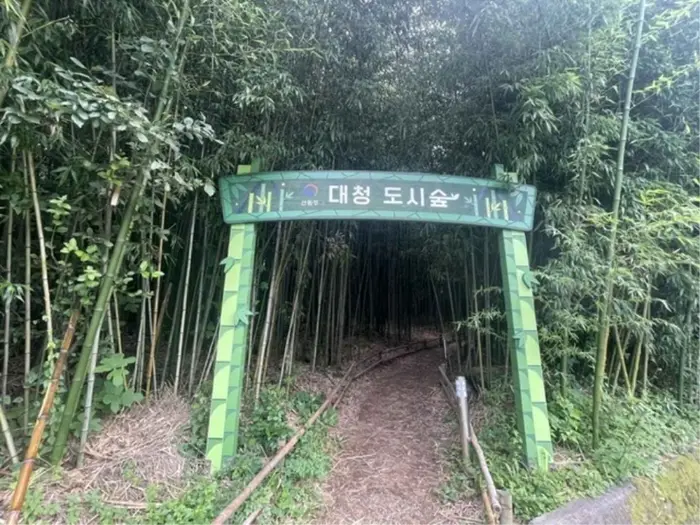 대청계곡대나무숲 · 관광지