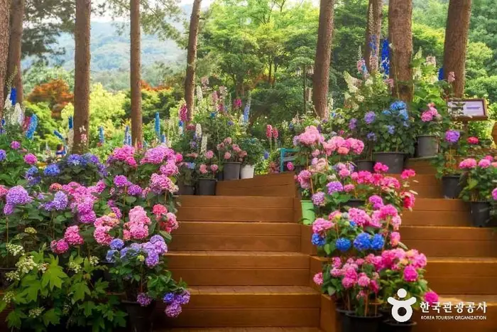 아침고요수목원 · 관광지
